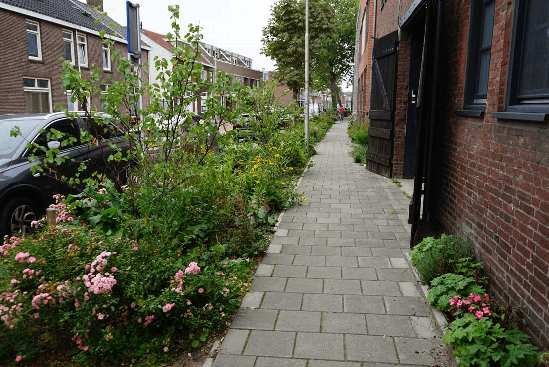 Links staan veel auto's geparkeerd, in het midden veel groen, bloemen, struiken, rechts betegelde stoep.