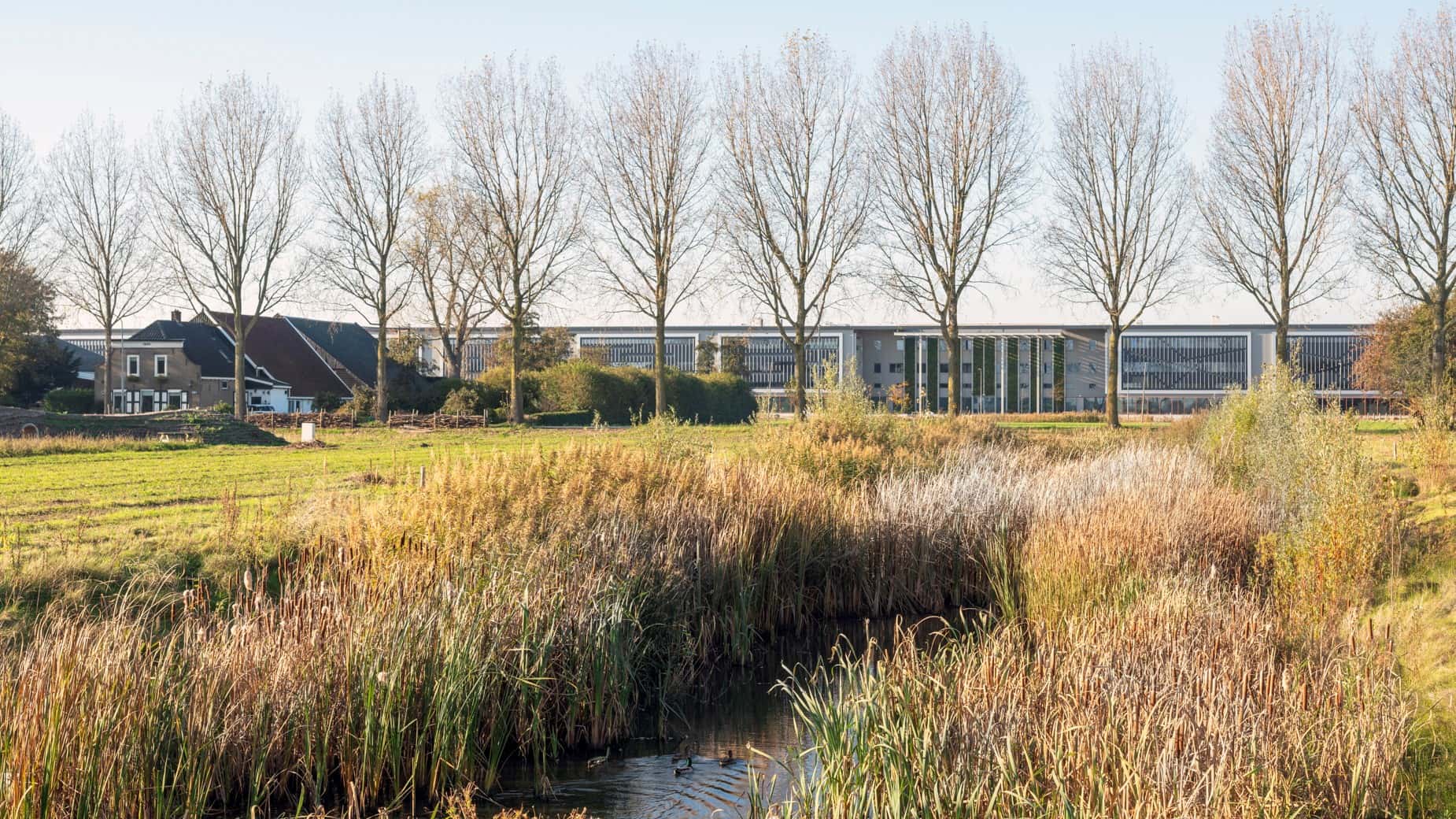 Veld met beek en bomen in de verte