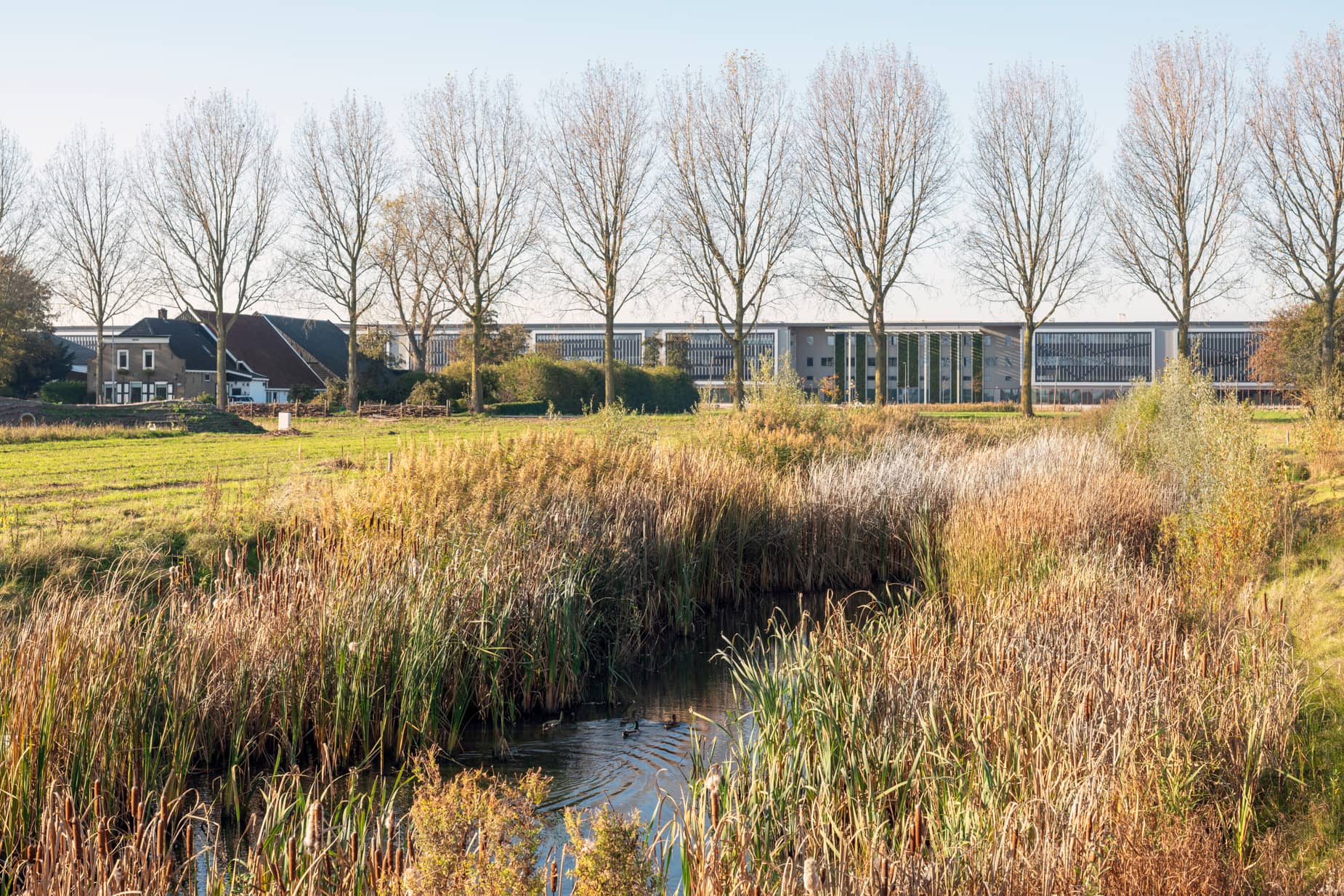 De Riet Waar kijken we naar? | Ruimtelijke ordening Nederland
