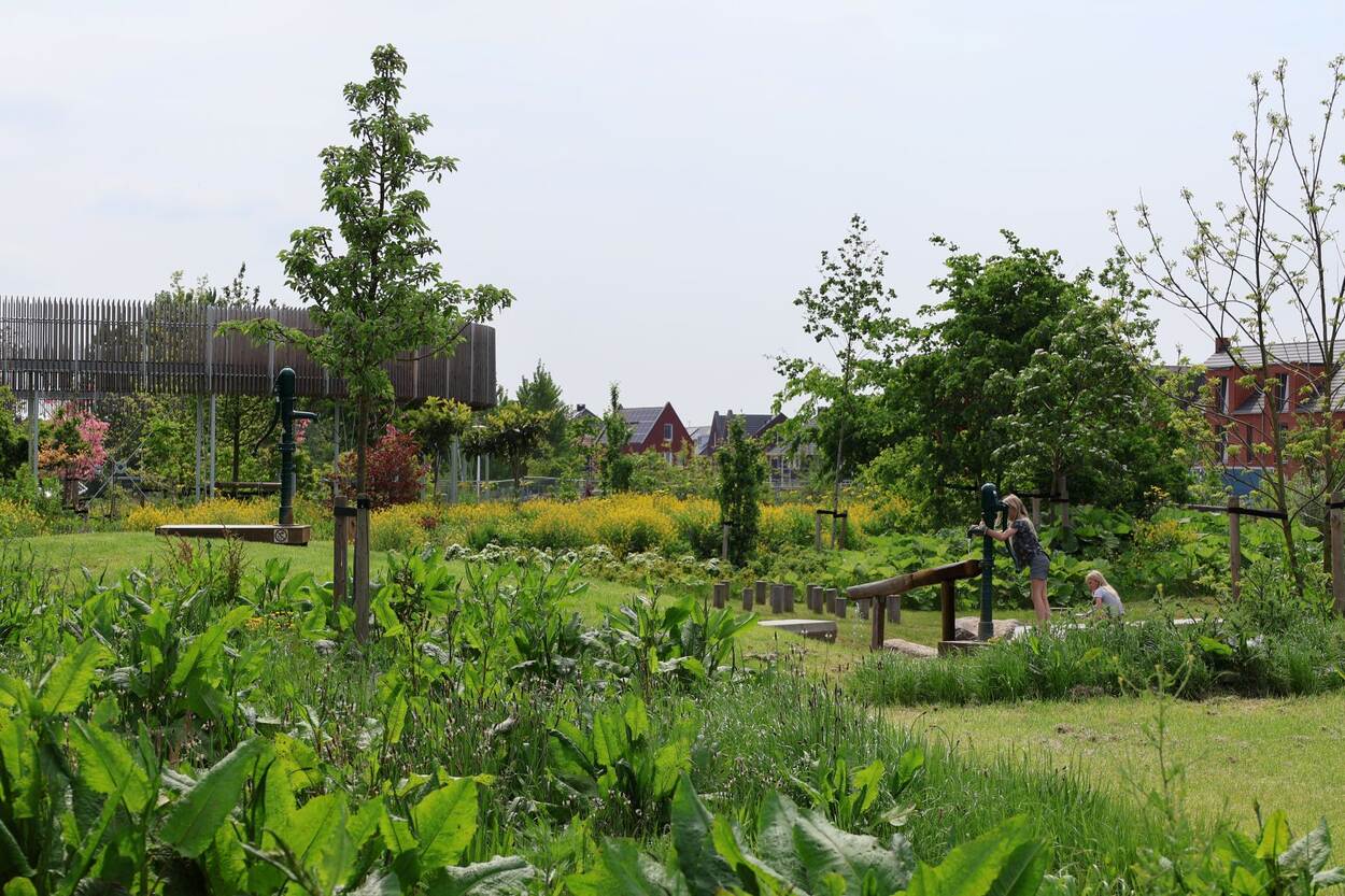 Een groene speelplek met 2 spelende kinderen, op de achtergrond staan huizen
