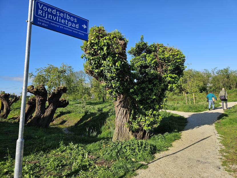 Een wandelpad dat splitst in 2 paden, erop lopen 2 mensen en er is een bord te zien "Voedselbord Rijnvlietpad"
