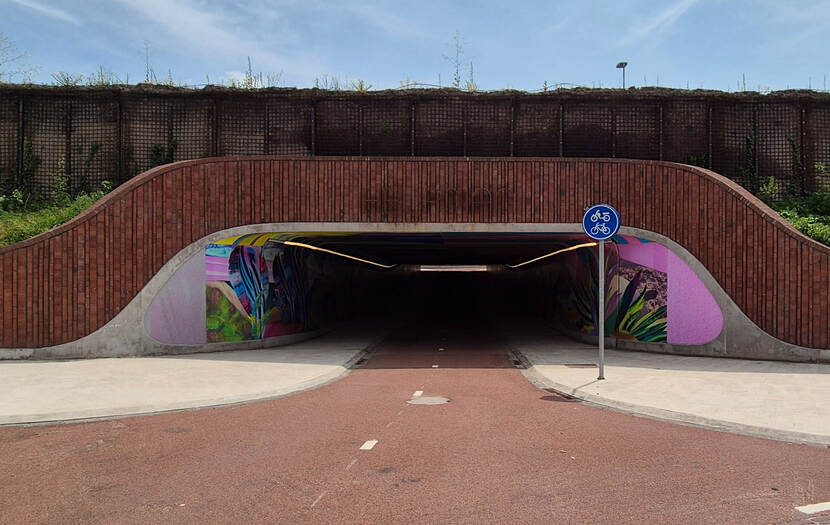 Fietstunnel onder de snelweg met graffiti op de muren