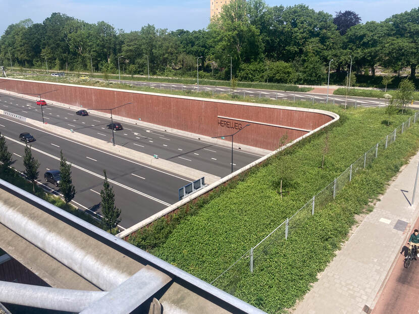 Groene brug over een snelweg