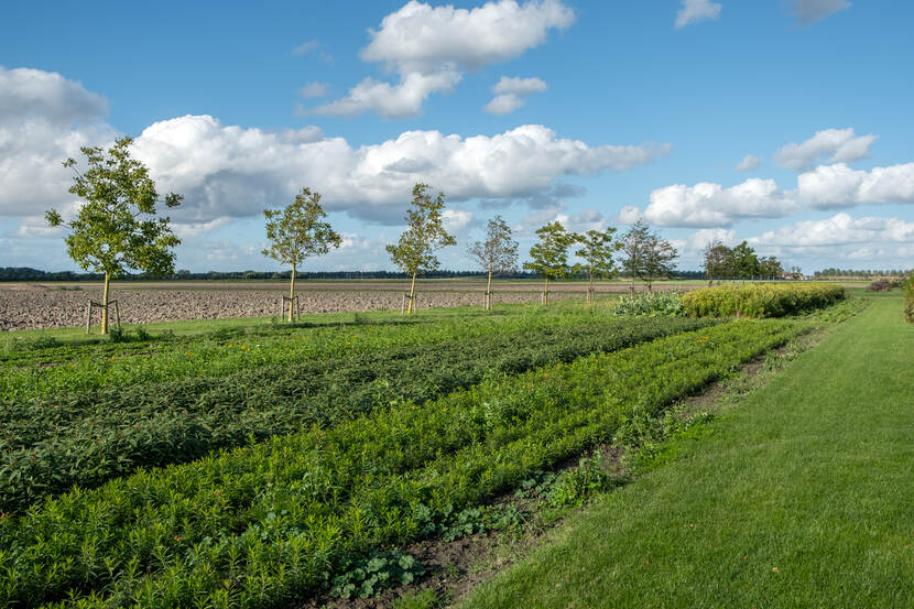 Twee soorten landschap: agrarisch landschap en grasveld van het landgoed