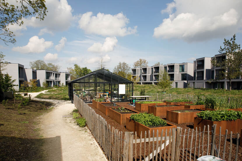 Links en rechts verschillende kleine huisjes en in het midden een kas met bakken waarin groenten verbouwd worden