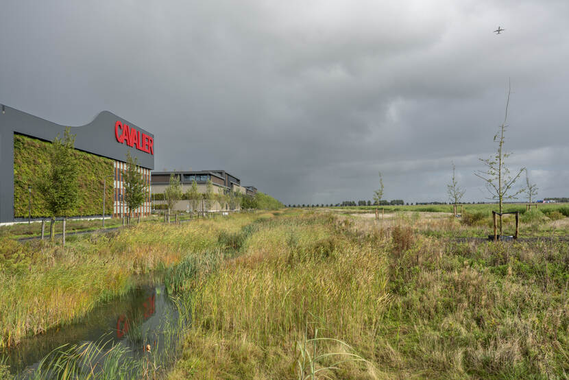 Schiphol trade park van dichtbij met sloot ervoor