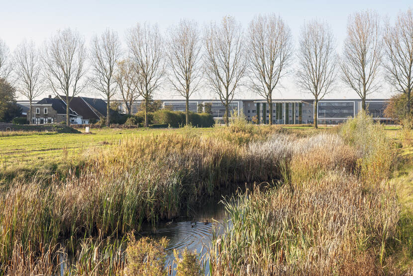 Boerderij tussen het riet bij Schiphol trade park