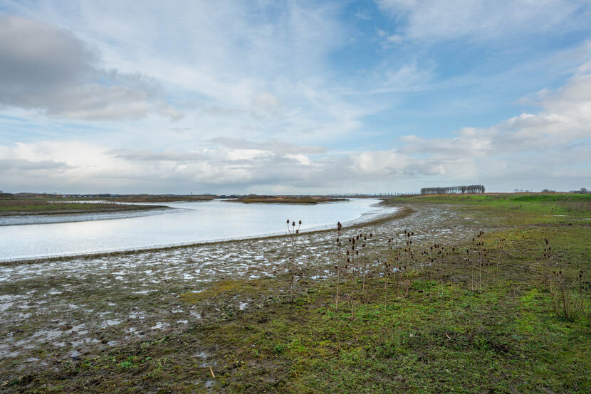 Op de voorgrond een drassige grond, op de achtergrond water