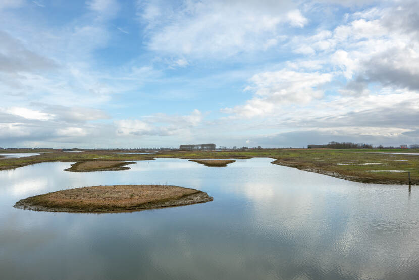 Grote plassen en meren met water en veel landbouwgrond, in het midden ligt een eilandje